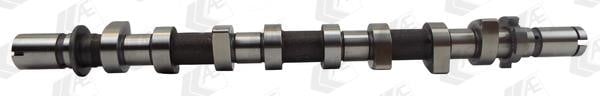 AE CAM983 Camshaft CAM983: Buy near me in Poland at 2407.PL - Good price!