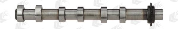 AE CAM984 Camshaft CAM984: Buy near me in Poland at 2407.PL - Good price!