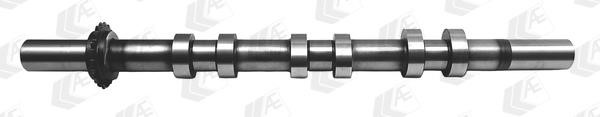 AE CAM986 Camshaft CAM986: Buy near me in Poland at 2407.PL - Good price!