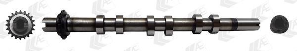 AE CAM987 Camshaft CAM987: Buy near me in Poland at 2407.PL - Good price!