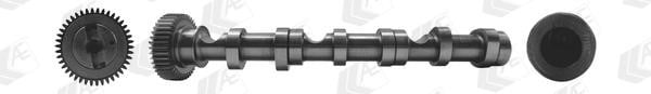 AE CAM992 Camshaft CAM992: Buy near me in Poland at 2407.PL - Good price!