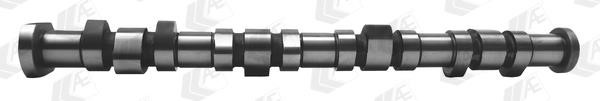 AE CAM996 Camshaft CAM996: Buy near me in Poland at 2407.PL - Good price!