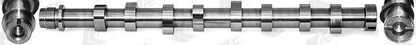 AE CAM999 Camshaft CAM999: Buy near me in Poland at 2407.PL - Good price!