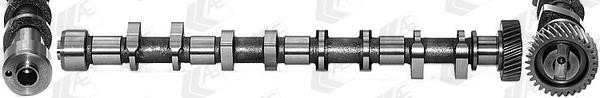 AE CAM946 Camshaft CAM946: Buy near me in Poland at 2407.PL - Good price!