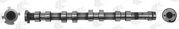 AE CAM957 Camshaft CAM957: Buy near me in Poland at 2407.PL - Good price!