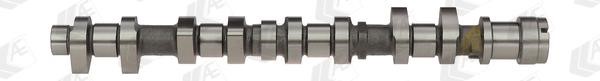 AE CAM959 Camshaft CAM959: Buy near me in Poland at 2407.PL - Good price!