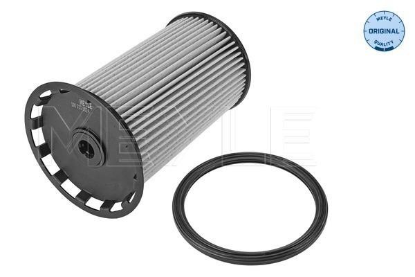 Meyle 1 003 230 024 Fuel filter 1003230024: Buy near me in Poland at 2407.PL - Good price!