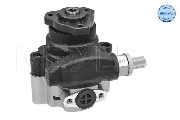 Meyle 45146310002 Hydraulic Pump, steering system 45146310002: Buy near me in Poland at 2407.PL - Good price!