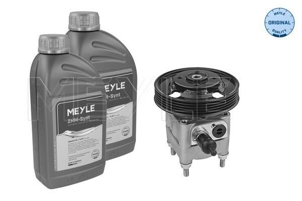 Meyle 514 631 0021/S Hydraulic Pump, steering system 5146310021S: Buy near me in Poland at 2407.PL - Good price!
