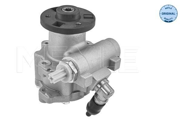 Meyle 314 631 0031 Hydraulic Pump, steering system 3146310031: Buy near me in Poland at 2407.PL - Good price!