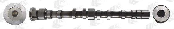 AE CAM1007 Camshaft CAM1007: Buy near me in Poland at 2407.PL - Good price!