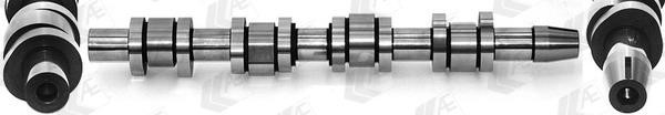 AE CAM1009 Camshaft CAM1009: Buy near me in Poland at 2407.PL - Good price!