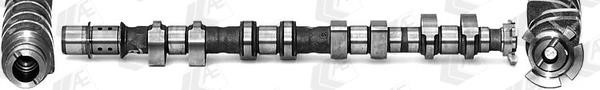 AE CAM1012 Camshaft CAM1012: Buy near me at 2407.PL in Poland at an Affordable price!