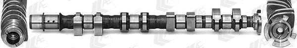 AE CAM1013 Camshaft CAM1013: Buy near me at 2407.PL in Poland at an Affordable price!