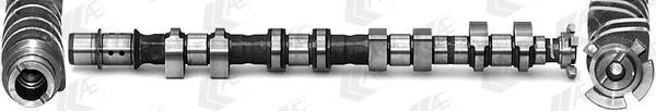 AE CAM1014 Camshaft CAM1014: Buy near me in Poland at 2407.PL - Good price!