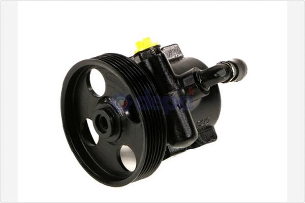 Depa PA244 Hydraulic Pump, steering system PA244: Buy near me in Poland at 2407.PL - Good price!