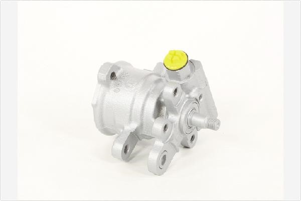 Depa PA1617 Hydraulic Pump, steering system PA1617: Buy near me in Poland at 2407.PL - Good price!