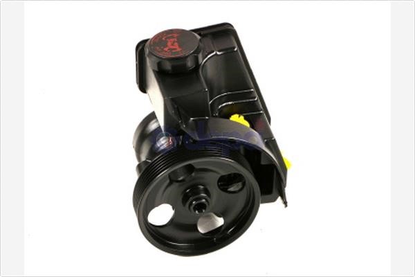 Depa PA209 Hydraulic Pump, steering system PA209: Buy near me in Poland at 2407.PL - Good price!