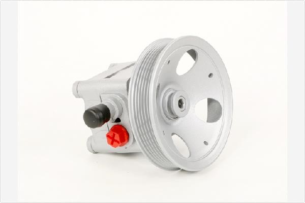 Depa PA1212 Hydraulic Pump, steering system PA1212: Buy near me in Poland at 2407.PL - Good price!