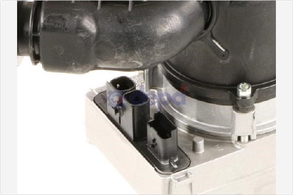 Depa PAE112 Hydraulic Pump, steering system PAE112: Buy near me in Poland at 2407.PL - Good price!