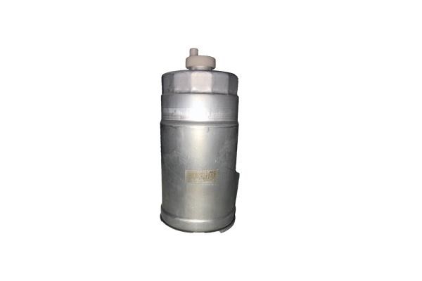 Bugiad BSP25057 Fuel filter BSP25057: Buy near me in Poland at 2407.PL - Good price!