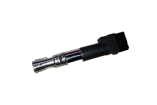 Bugiad BSP24996 Ignition coil BSP24996: Buy near me in Poland at 2407.PL - Good price!