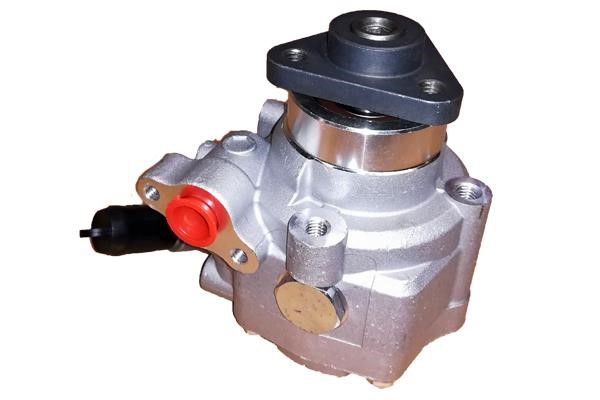 Bugiad BSP25083 Hydraulic Pump, steering system BSP25083: Buy near me in Poland at 2407.PL - Good price!
