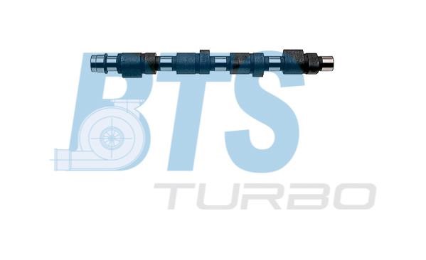 BTS Turbo CP16210 Nockenwelle CP16210: Kaufen Sie zu einem guten Preis in Polen bei 2407.PL!