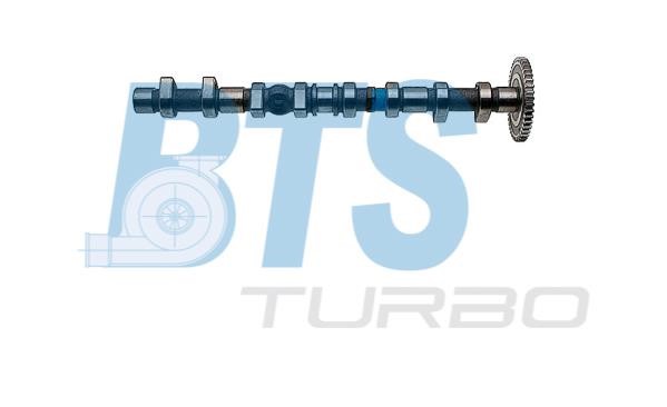 BTS Turbo CP11918 Вал розподільчий CP11918: Приваблива ціна - Купити у Польщі на 2407.PL!