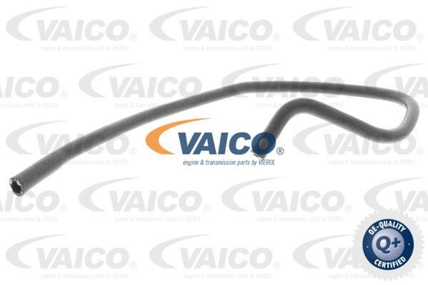 Vaico V303150 Radiator Hose V303150: Buy near me in Poland at 2407.PL - Good price!