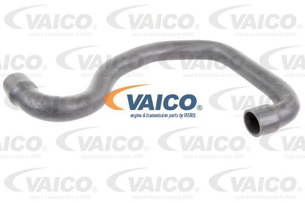 Vaico V460846 Charger Air Hose V460846: Buy near me in Poland at 2407.PL - Good price!