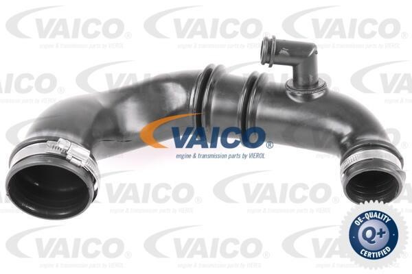 Vaico V460824 Charger Air Hose V460824: Buy near me in Poland at 2407.PL - Good price!