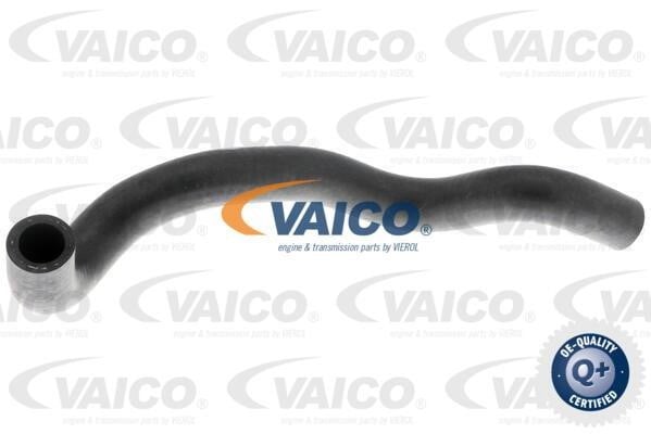 Vaico V104653 Radiator hose V104653: Buy near me in Poland at 2407.PL - Good price!