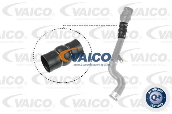 Vaico V460831 Charger Air Hose V460831: Buy near me in Poland at 2407.PL - Good price!