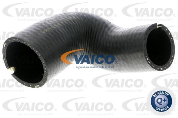 Vaico V240699 Charger Air Hose V240699: Buy near me in Poland at 2407.PL - Good price!