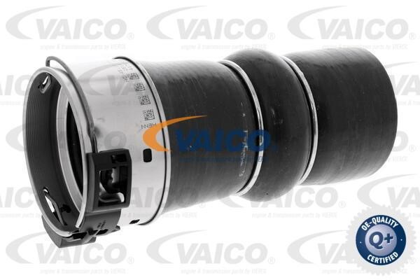 Vaico V460833 Charger Air Hose V460833: Buy near me in Poland at 2407.PL - Good price!