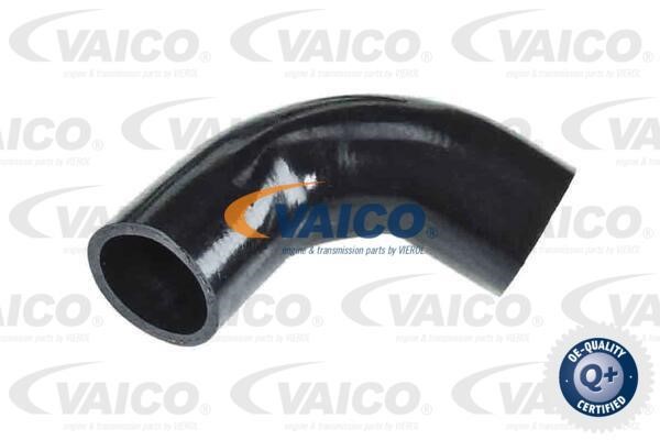 Vaico V950359 Charger Air Hose V950359: Buy near me in Poland at 2407.PL - Good price!