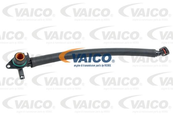 Vaico V203252 Hose, cylinder head cover breather V203252: Buy near me in Poland at 2407.PL - Good price!