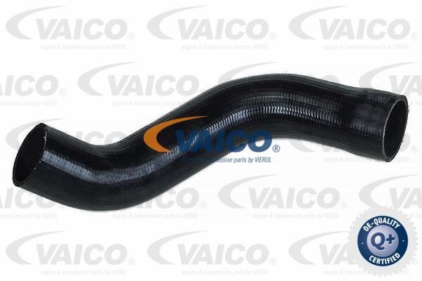 Vaico V221099 Charger Air Hose V221099: Buy near me in Poland at 2407.PL - Good price!