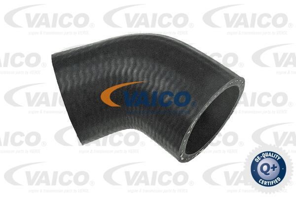 Vaico V401518 Charger Air Hose V401518: Buy near me in Poland at 2407.PL - Good price!