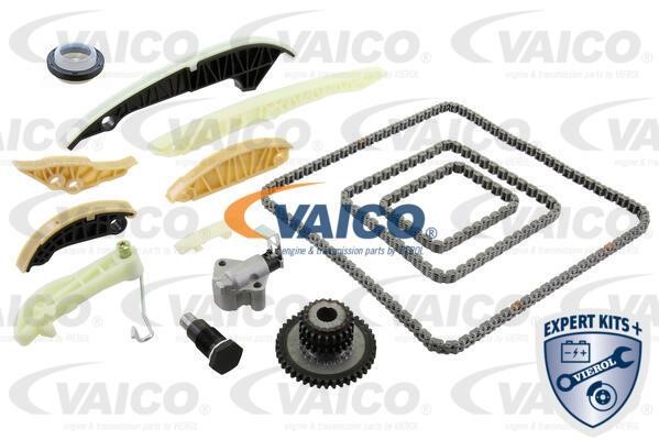 Vaico V1010001 Комплект цепи ГРМ V1010001: Купить в Польше - Отличная цена на 2407.PL!