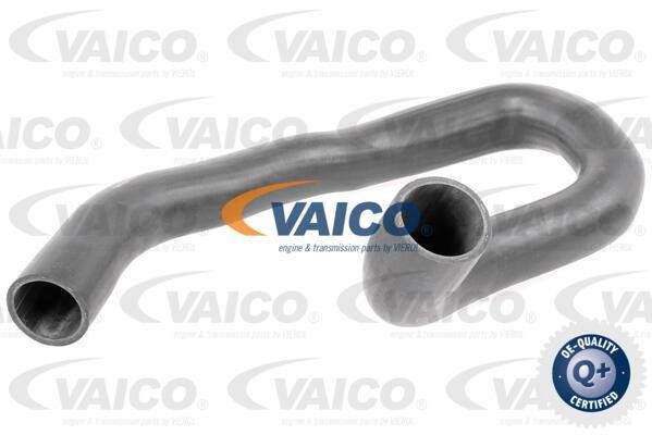 Vaico V401503 Ladeluftschlauch V401503: Kaufen Sie zu einem guten Preis in Polen bei 2407.PL!