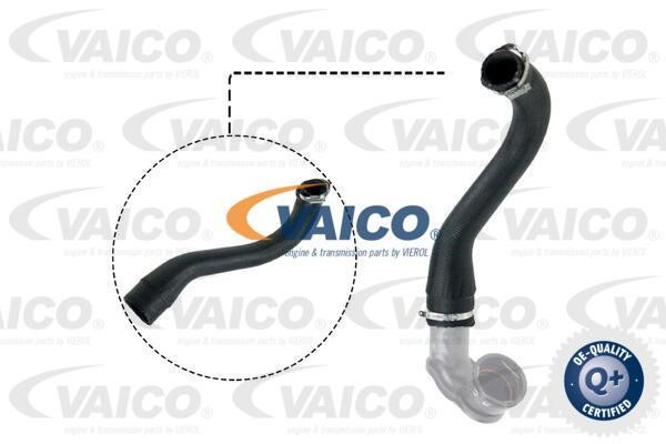 Vaico V401498 Charger Air Hose V401498: Buy near me in Poland at 2407.PL - Good price!