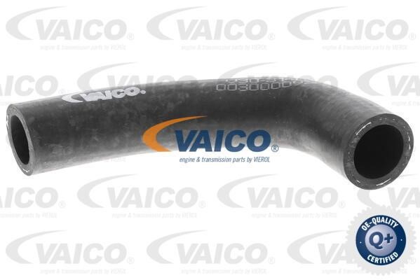 Vaico V303140 Kühlerschlauch V303140: Kaufen Sie zu einem guten Preis in Polen bei 2407.PL!
