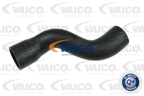 Vaico V401502 Charger Air Hose V401502: Buy near me in Poland at 2407.PL - Good price!