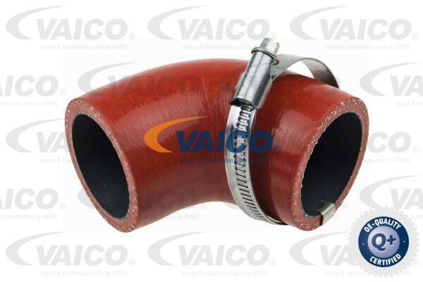 Vaico V480184 Charger Air Hose V480184: Buy near me in Poland at 2407.PL - Good price!