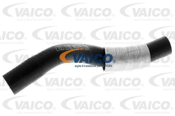 Vaico V420564 Charger Air Hose V420564: Buy near me in Poland at 2407.PL - Good price!