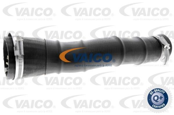 Vaico V251034 Патрубок турбокомпрессора V251034: Отличная цена - Купить в Польше на 2407.PL!