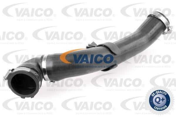 Vaico V251176 Charger Air Hose V251176: Buy near me in Poland at 2407.PL - Good price!