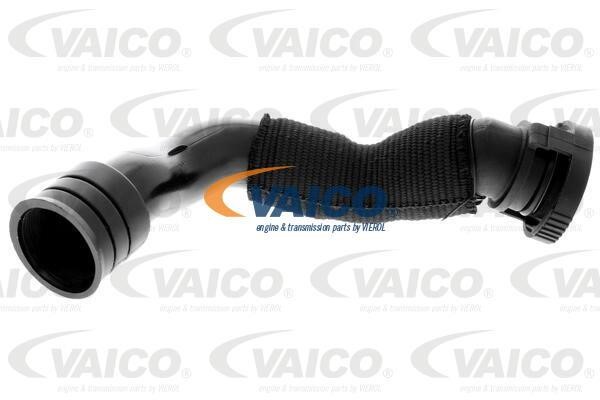 Vaico V104636 Hose, cylinder head cover breather V104636: Buy near me in Poland at 2407.PL - Good price!